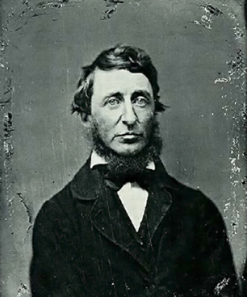 HDT Tin Type 2 Thoreau