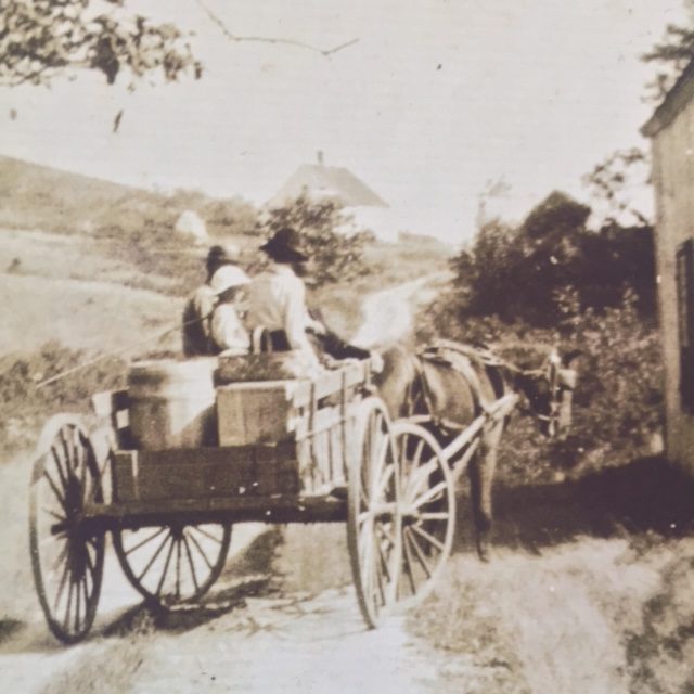 Horse and cart with family