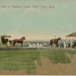 A summer day at Highland House copy